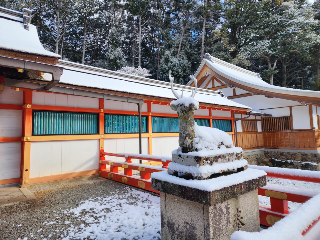 雪の大原野