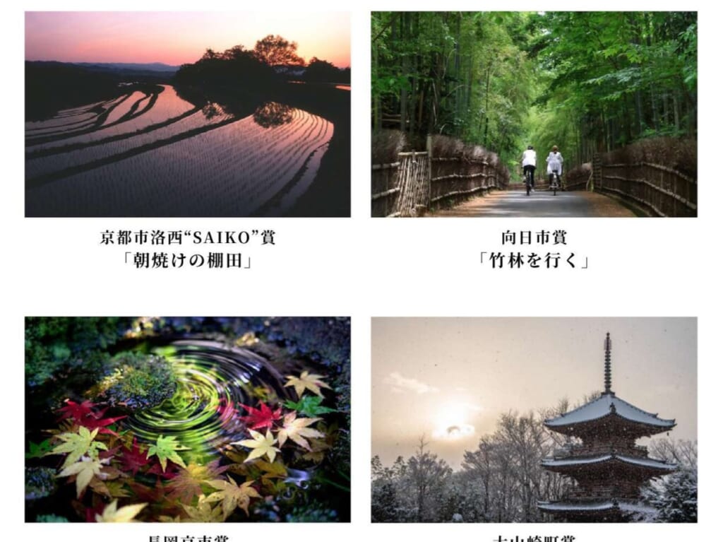 京都西山はいいぞ
