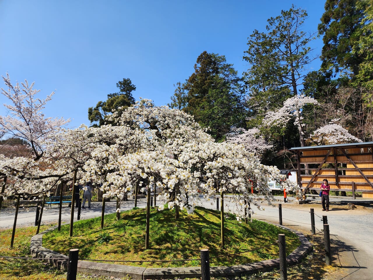 #京都西山グラム 春のインスタフォトキャンペーン