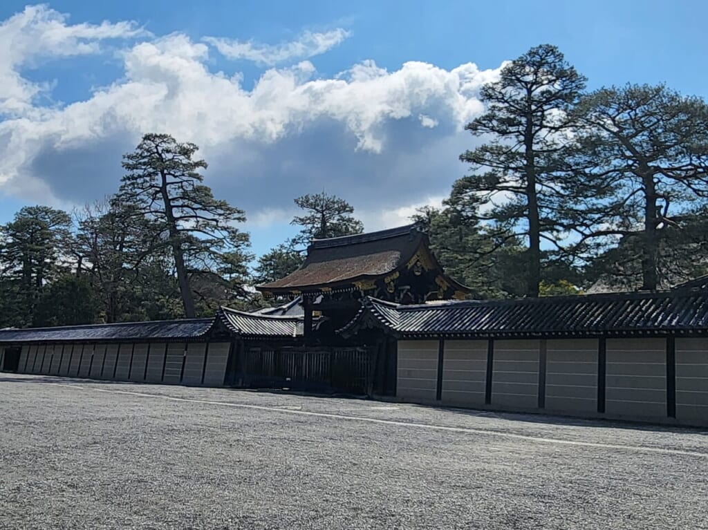 【京都市上京区】公家たちの夢の跡地でそめいよしのや糸桜が咲き始め 京都は来週末が見ごろでしょうか! | 号外NET 京都市