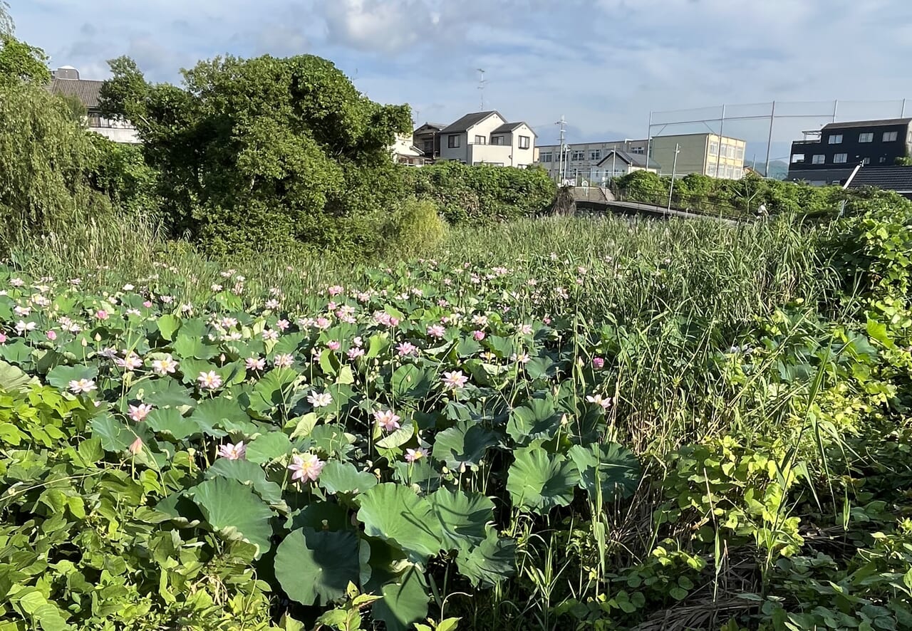 樫原弁財天