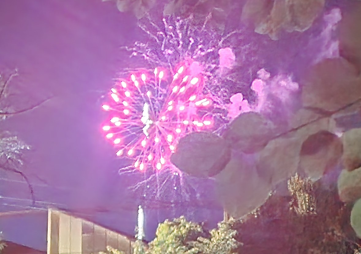 駐屯地夏祭り