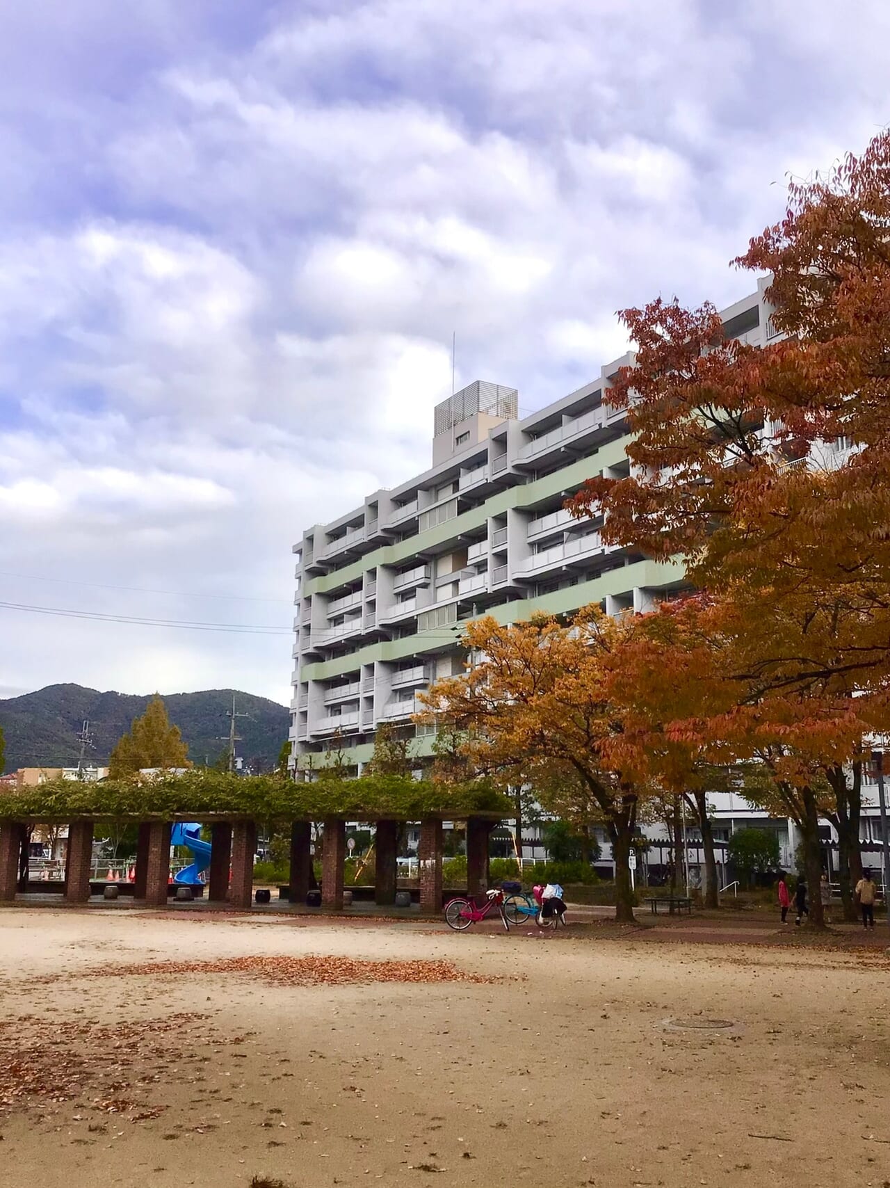 醍醐石田団地夏祭り