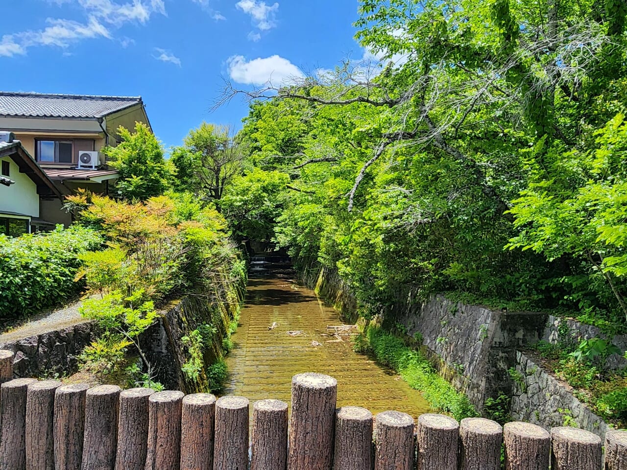 鈴虫寺