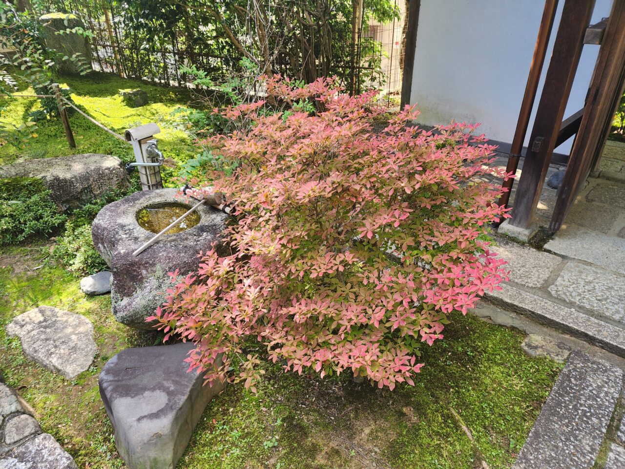 金福寺