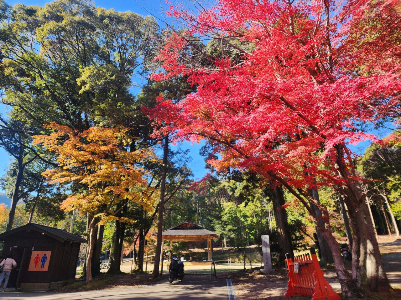 大原野神社