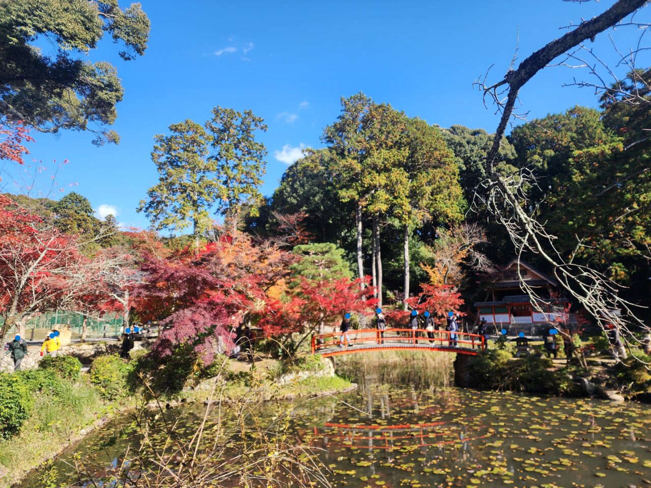 大原野神社