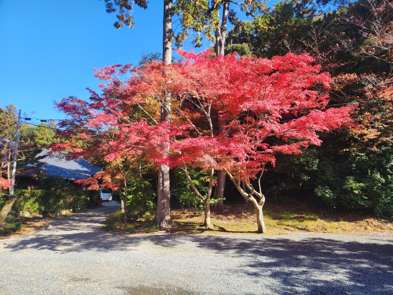 大原野神社