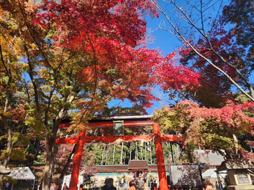 大原野神社