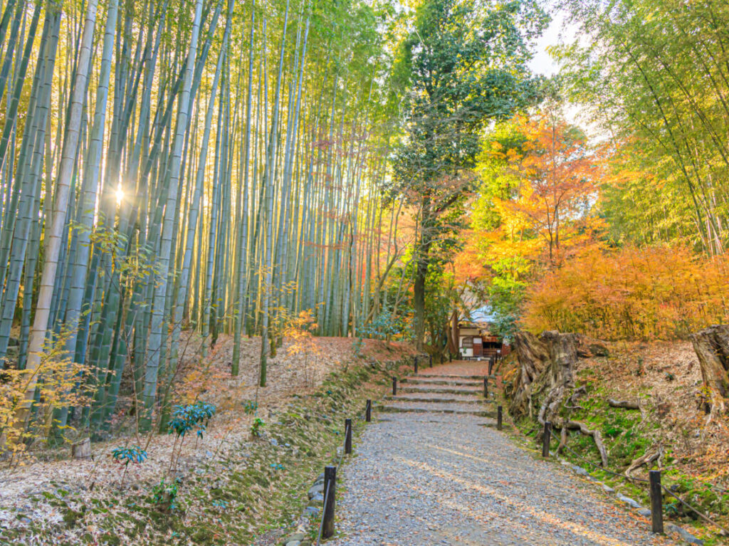 地蔵院