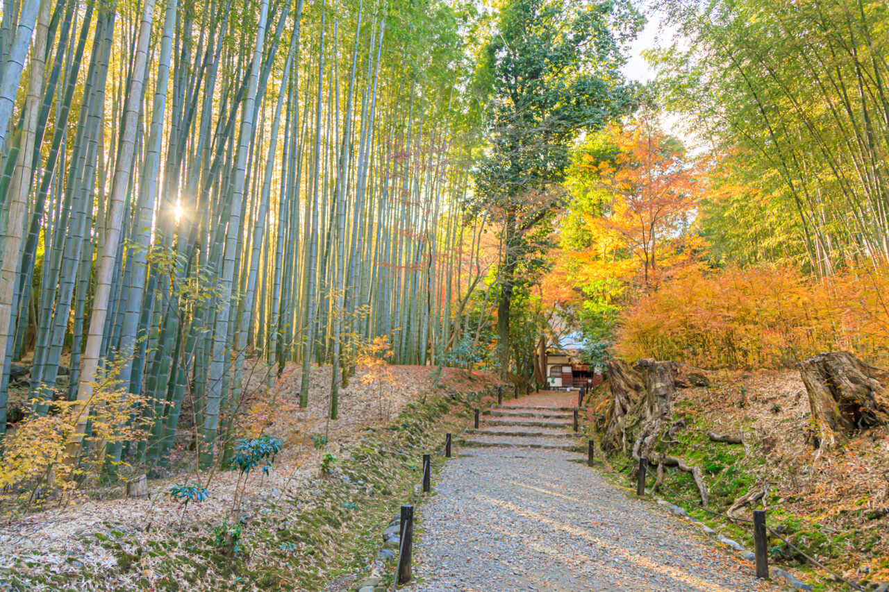 地蔵院