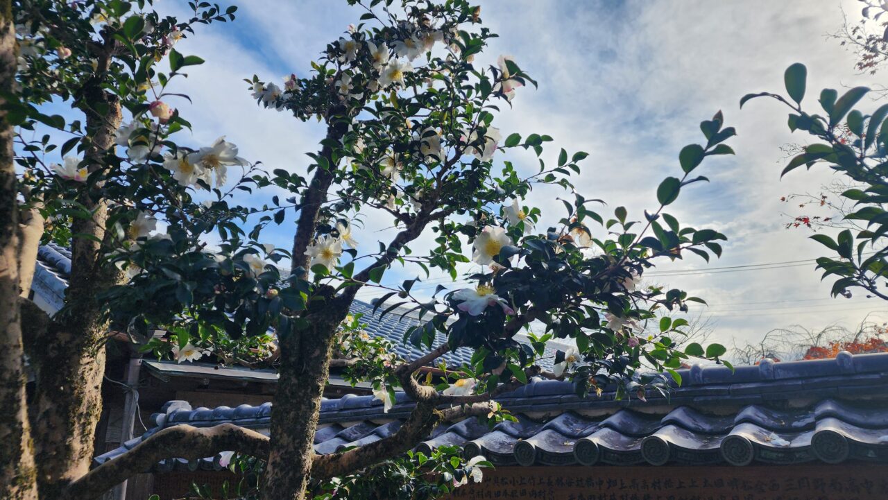 大歳神社