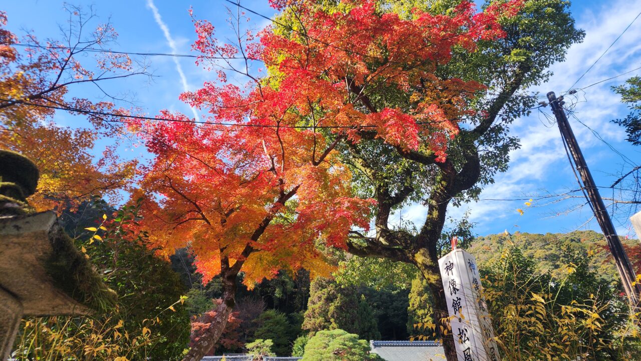 西京農業まつり