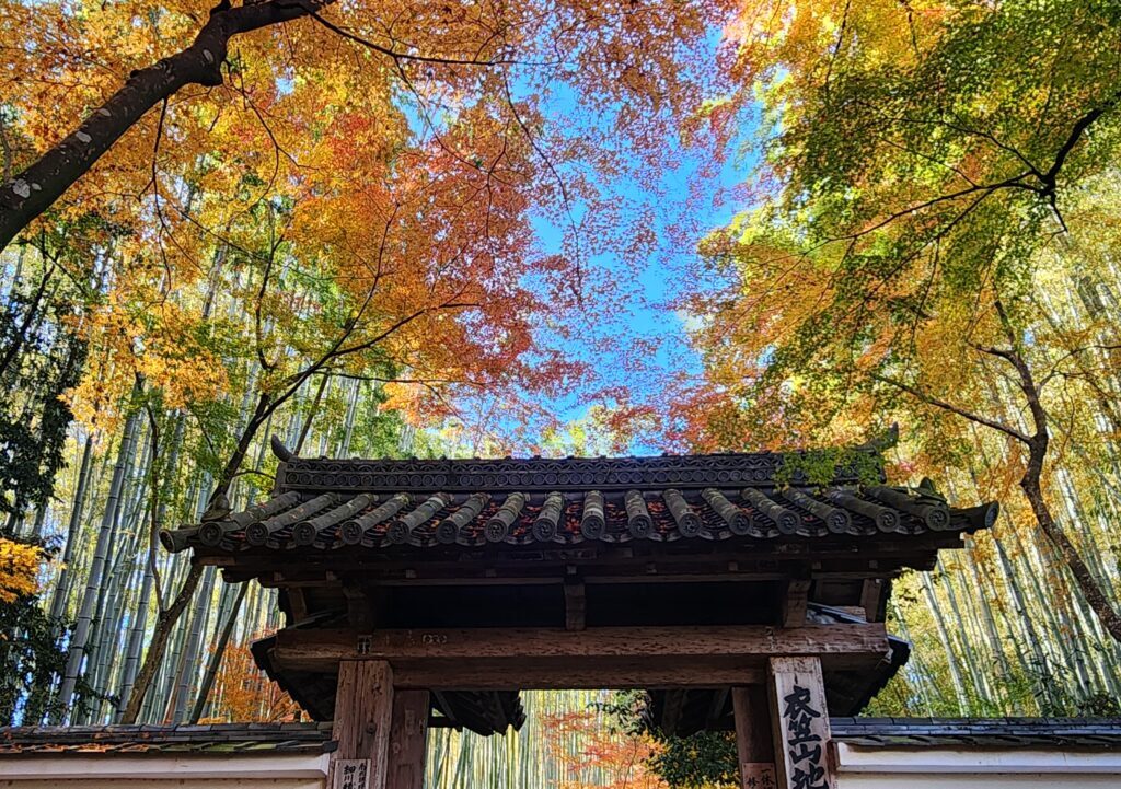 京都紅葉