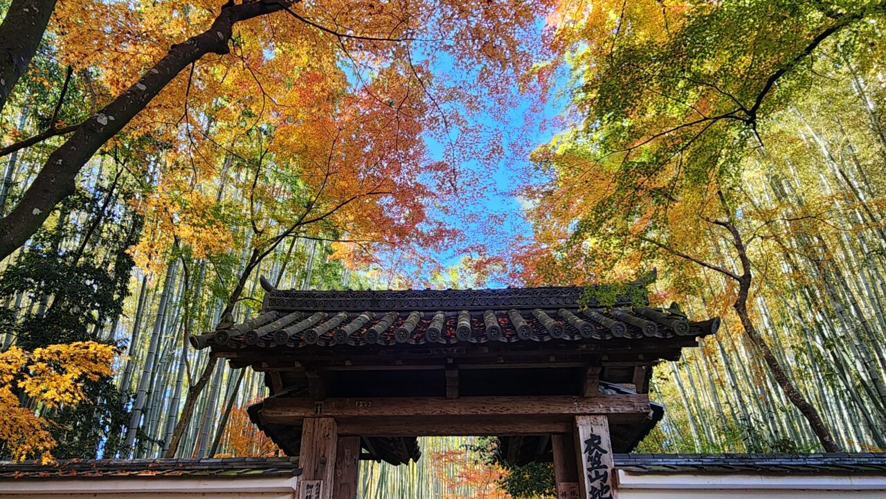 京都紅葉