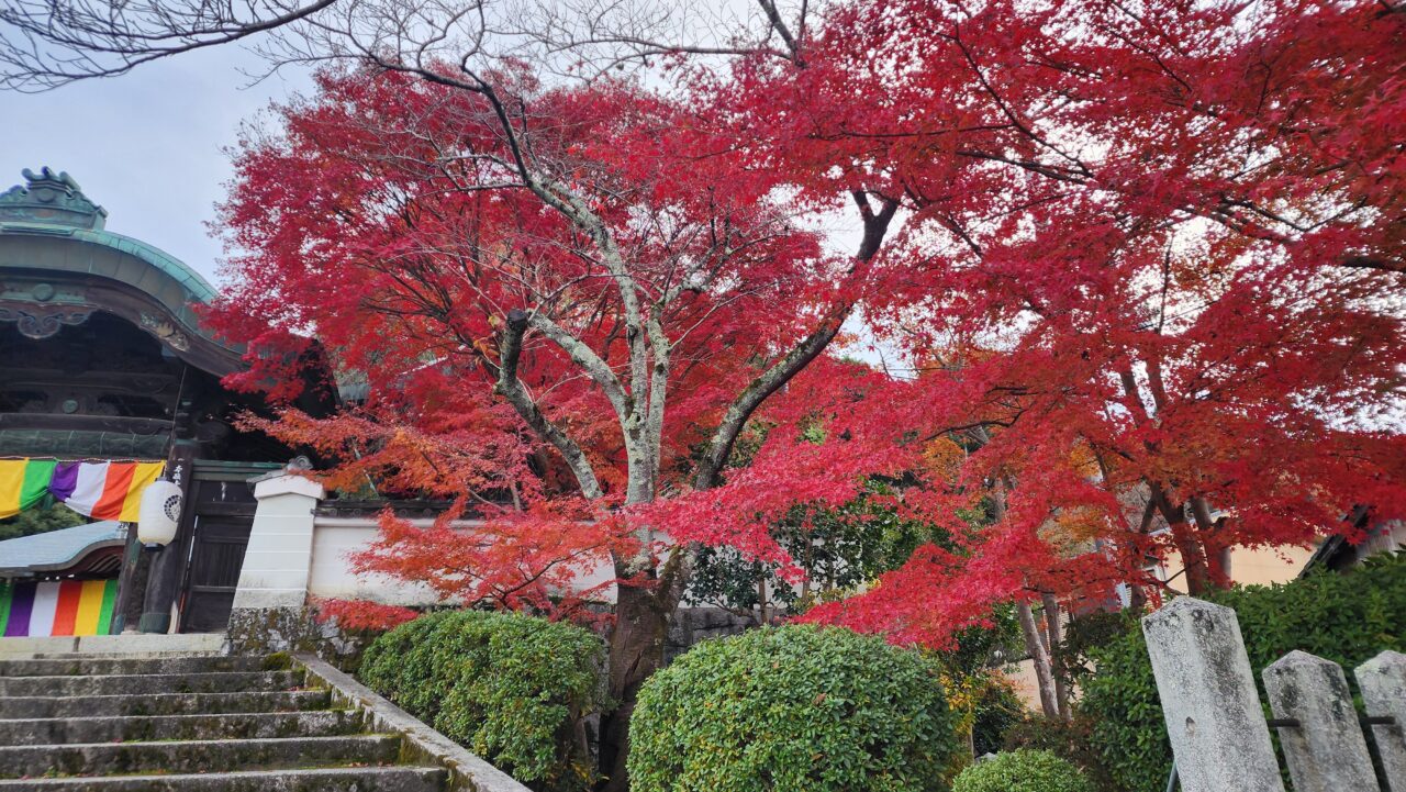 金福寺