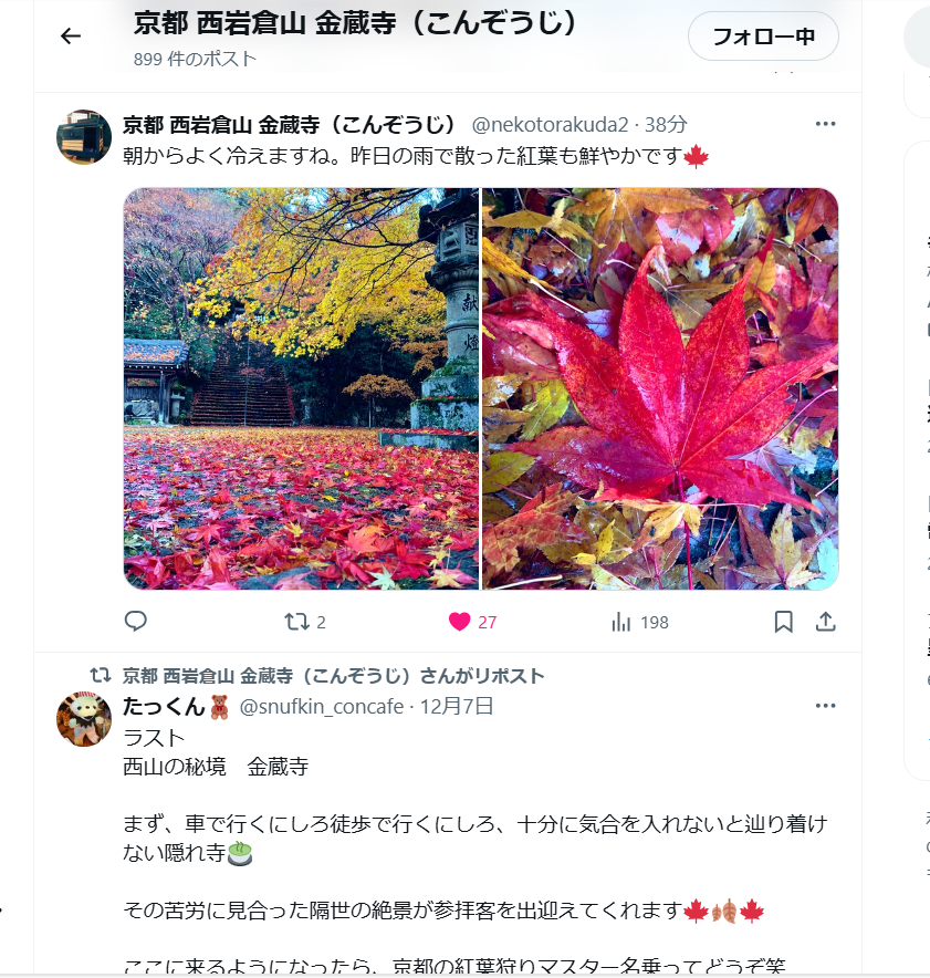 京都紅葉