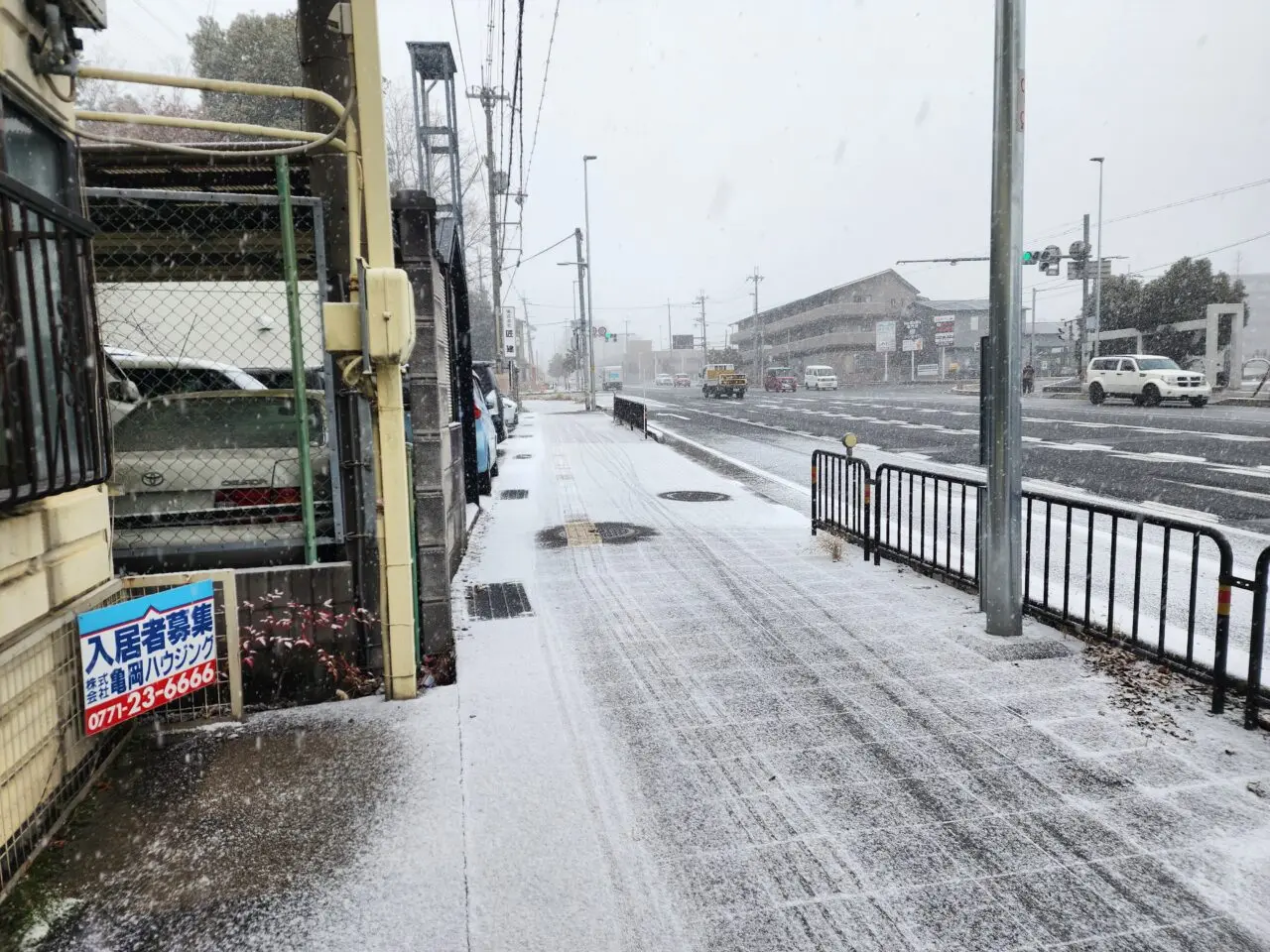 京都市雪