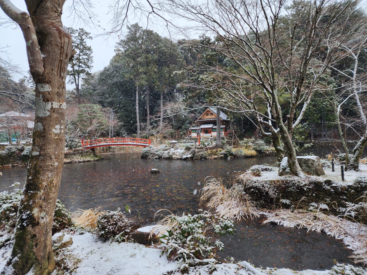 京都市雪