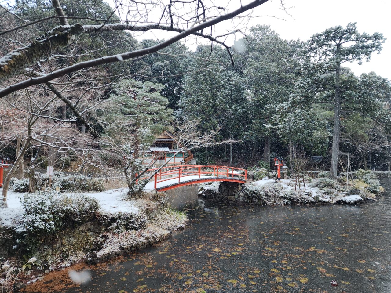 京都市雪