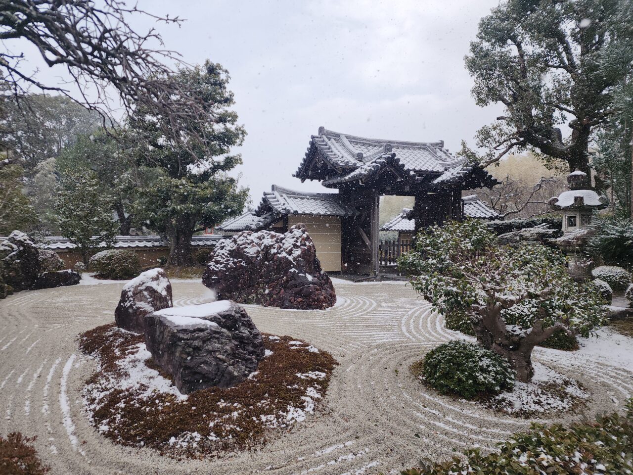 京都市雪