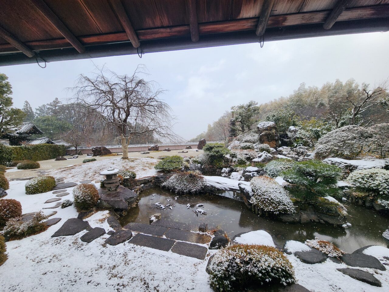 京都市雪