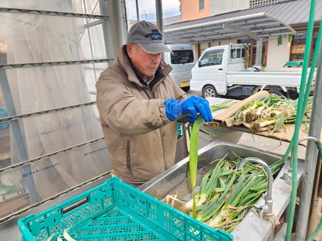 前田農園