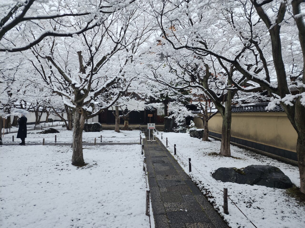 大徳寺雪