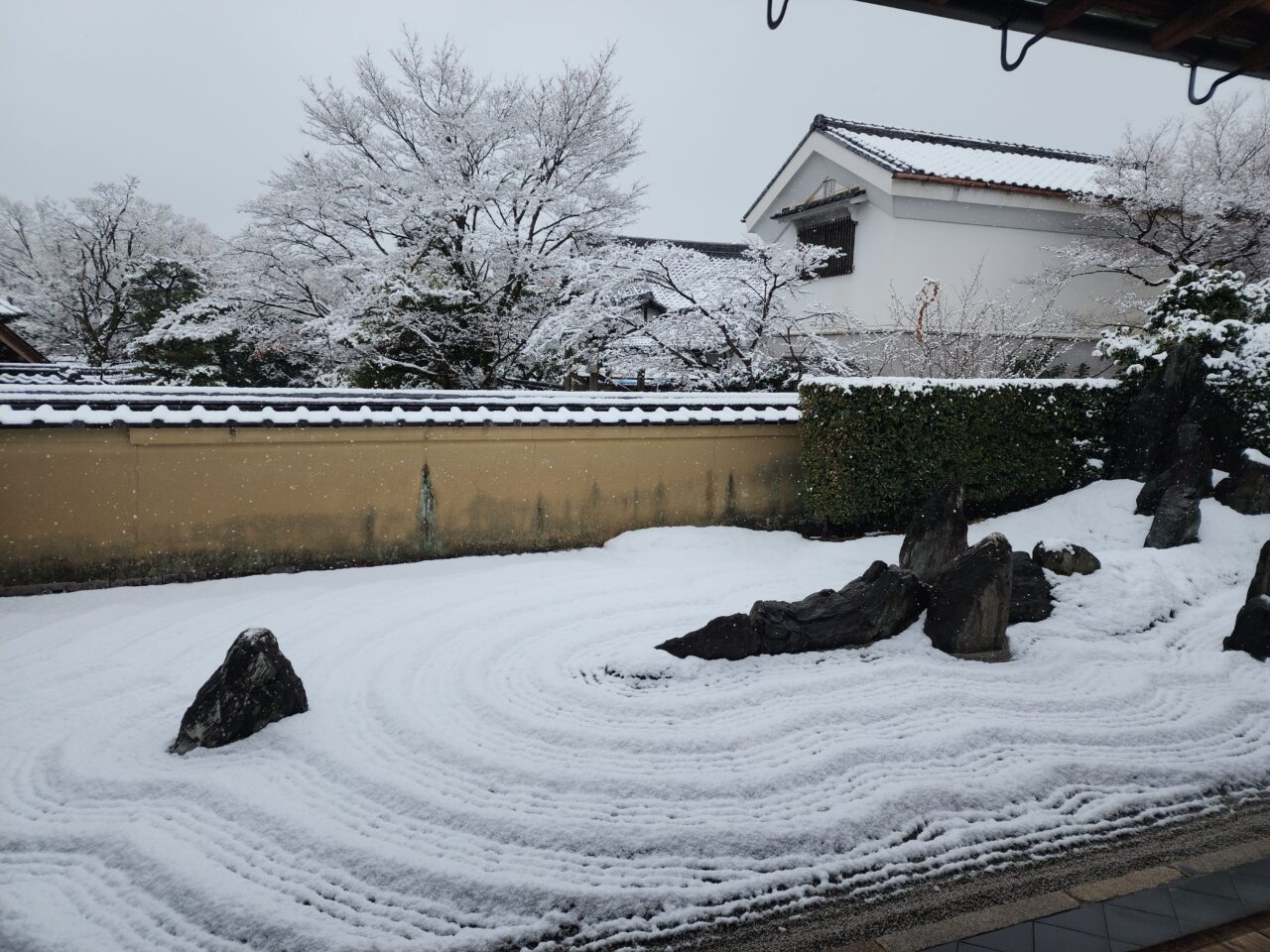 大徳寺雪