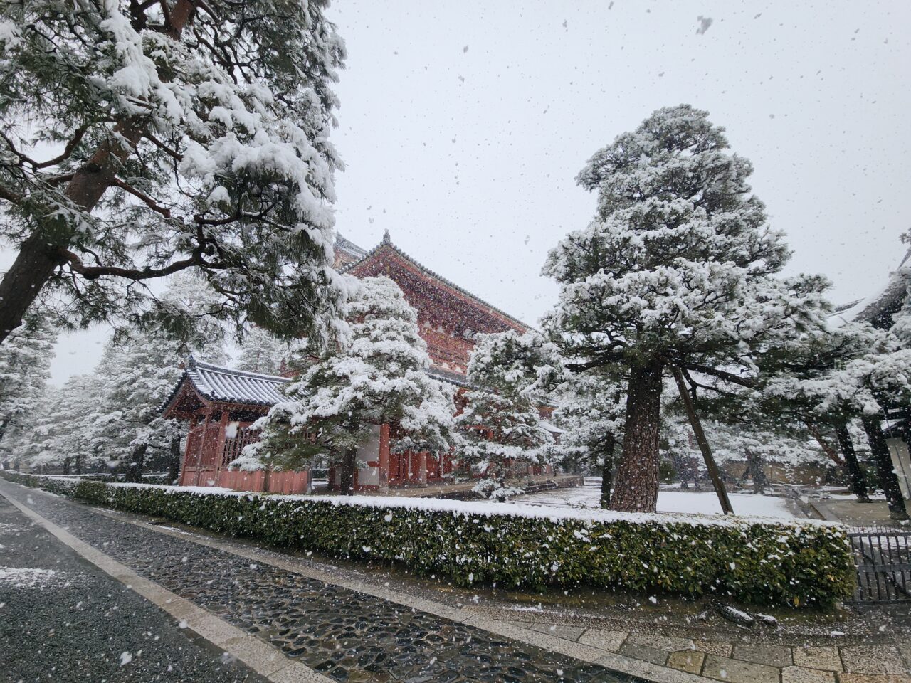 大徳寺雪