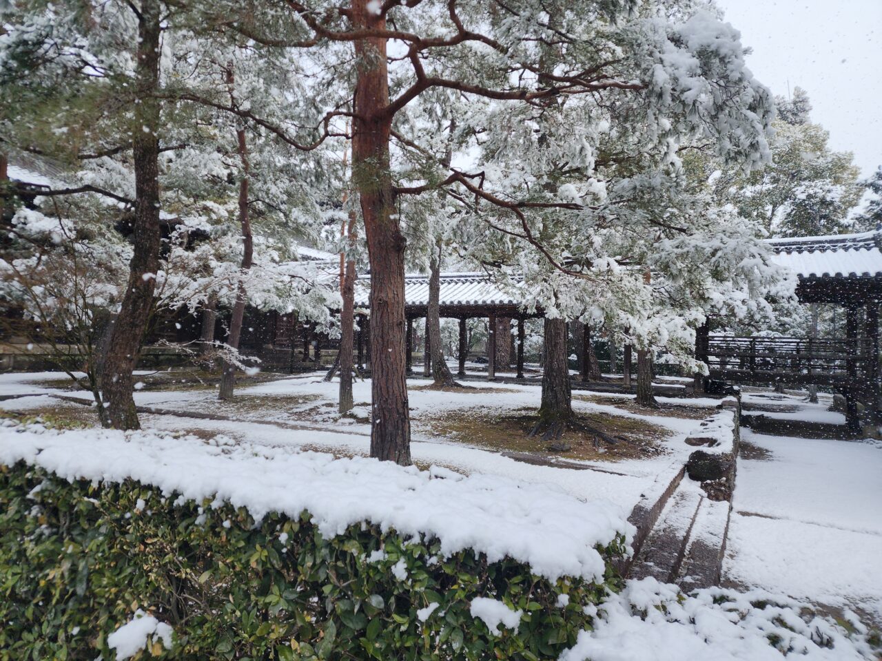 大徳寺雪