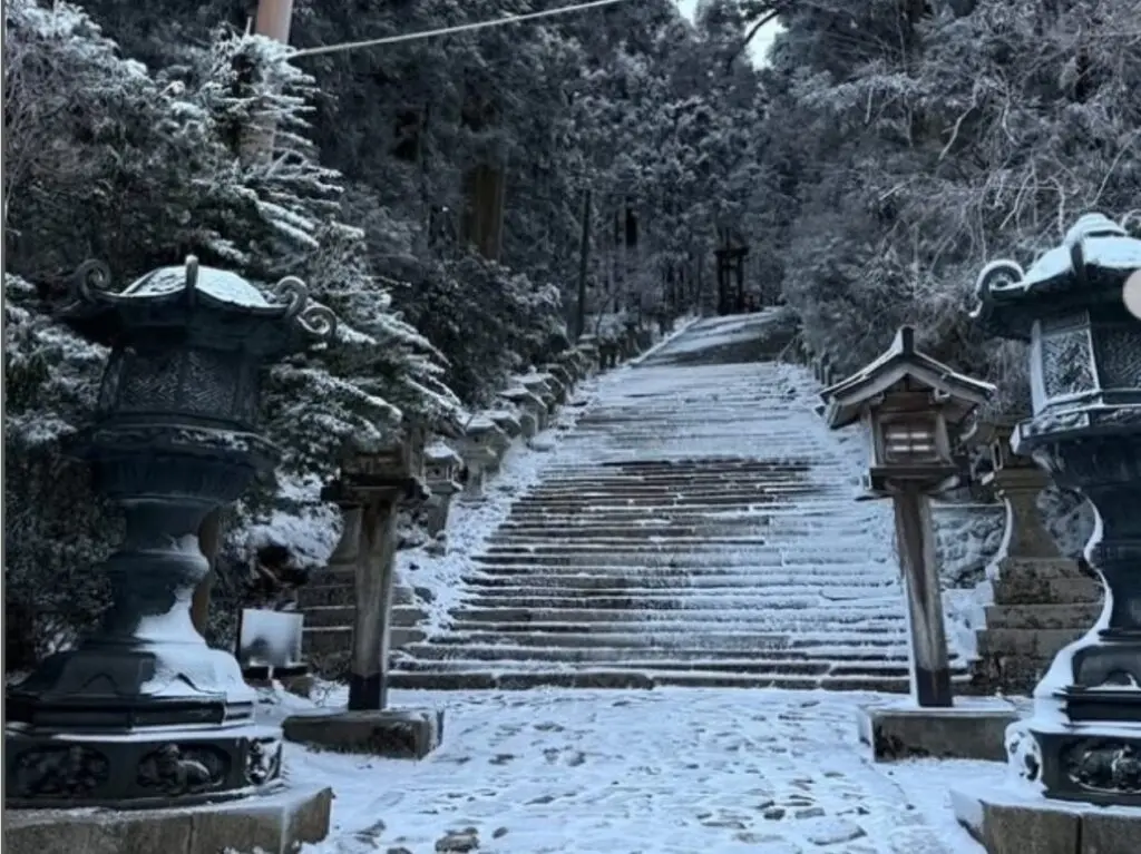 3月の雪