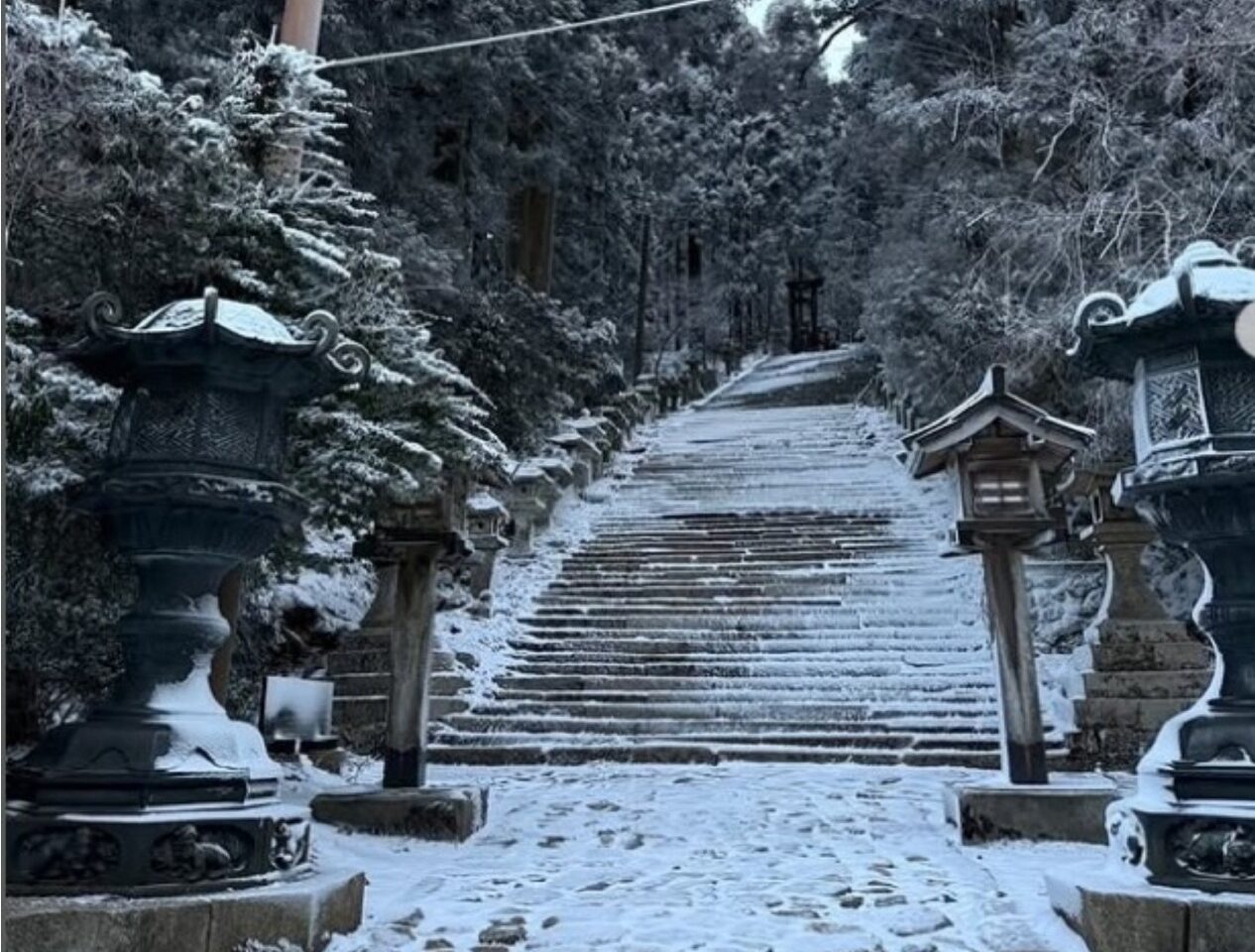 3月の雪