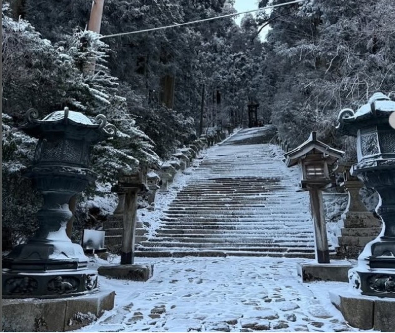 3月の雪