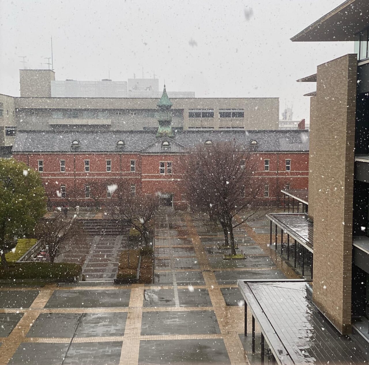 3月の雪