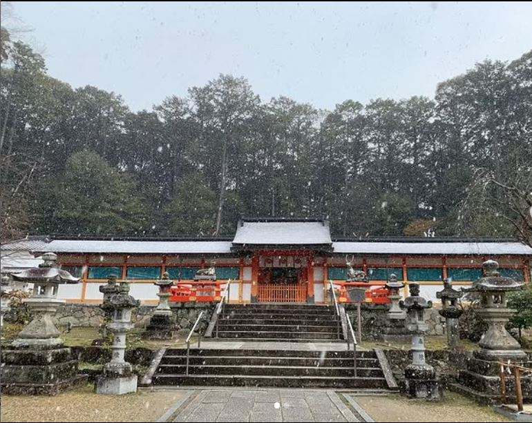 3月の雪