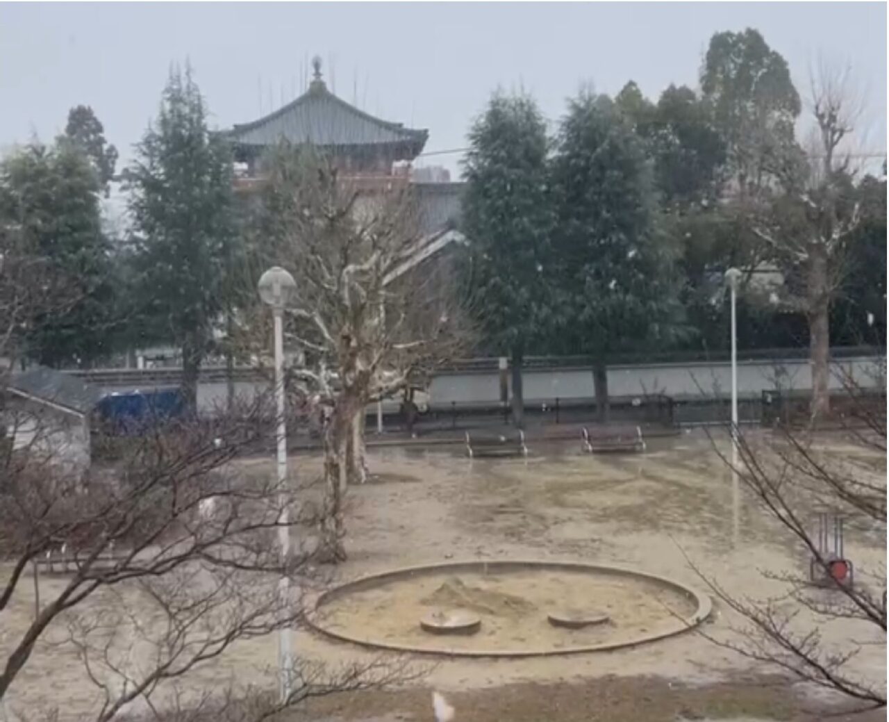 3月の雪