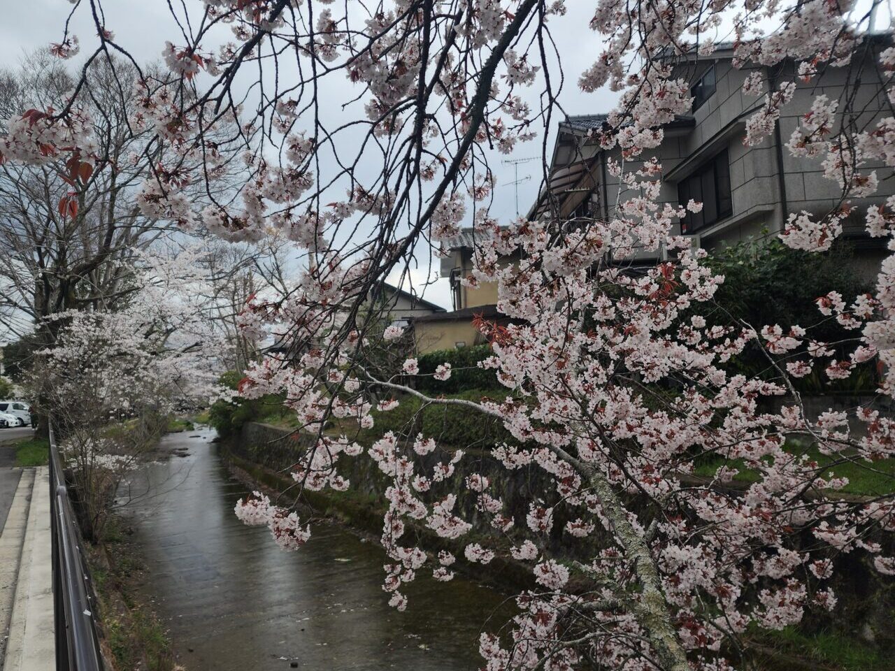 鈴虫寺