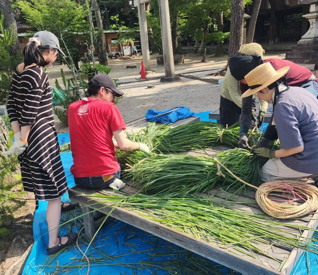 茅の輪くぐり