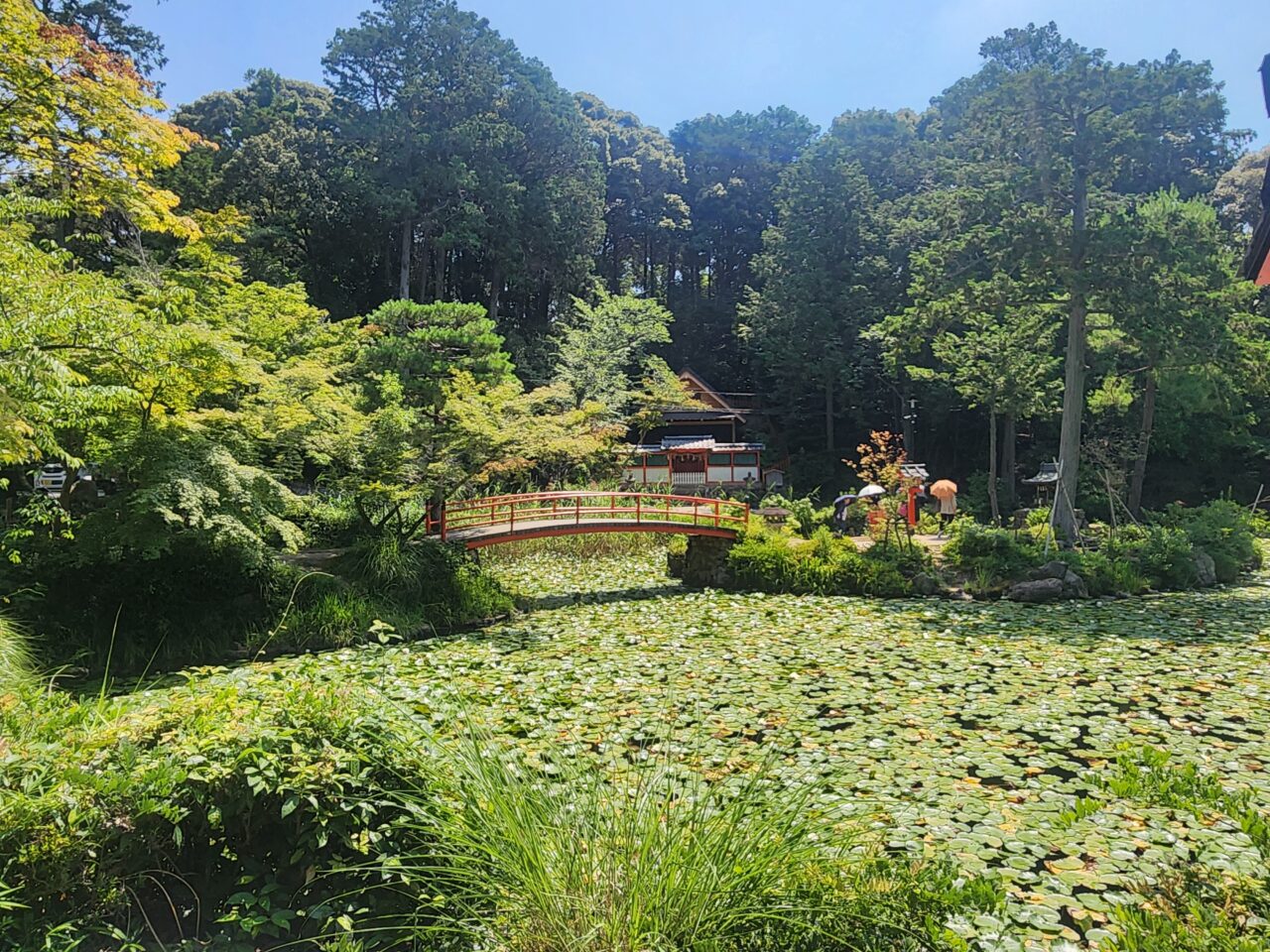 大原野神社