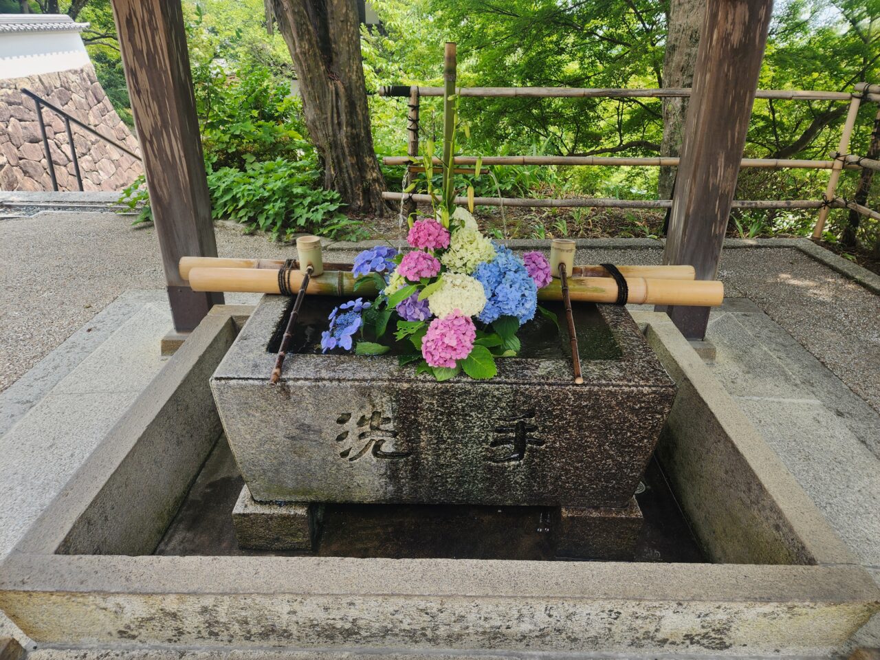 善峯寺あじさい