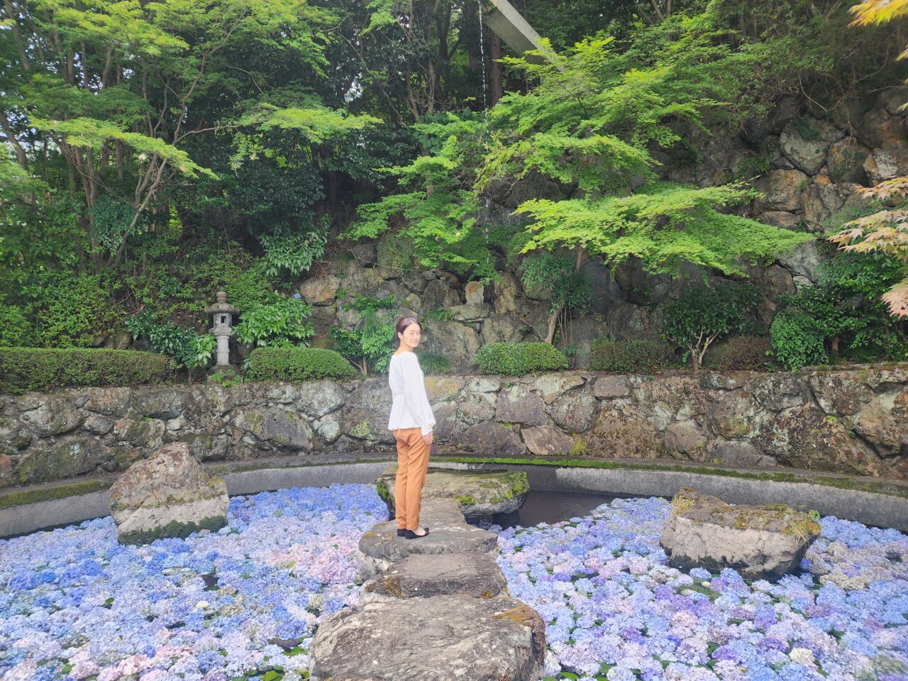 善峯寺あじさい