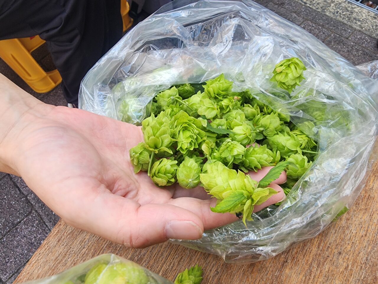 エビバデ京ほっぷ