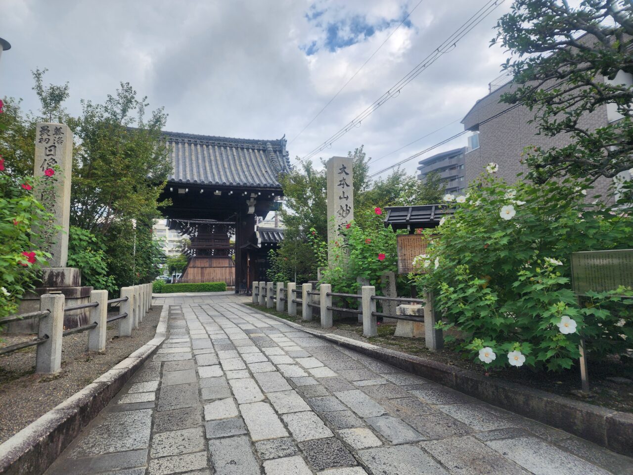 妙蓮寺