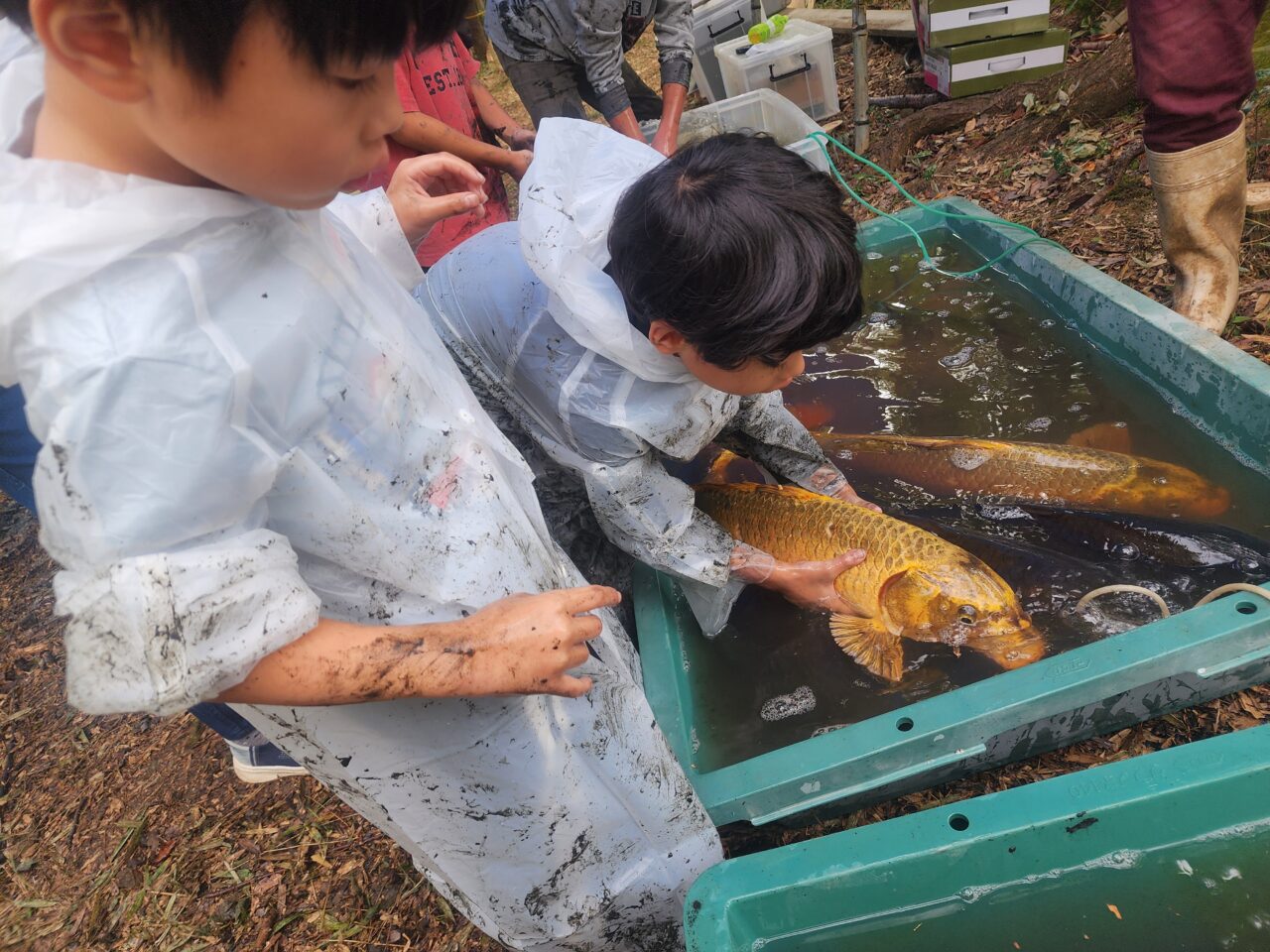 ため池