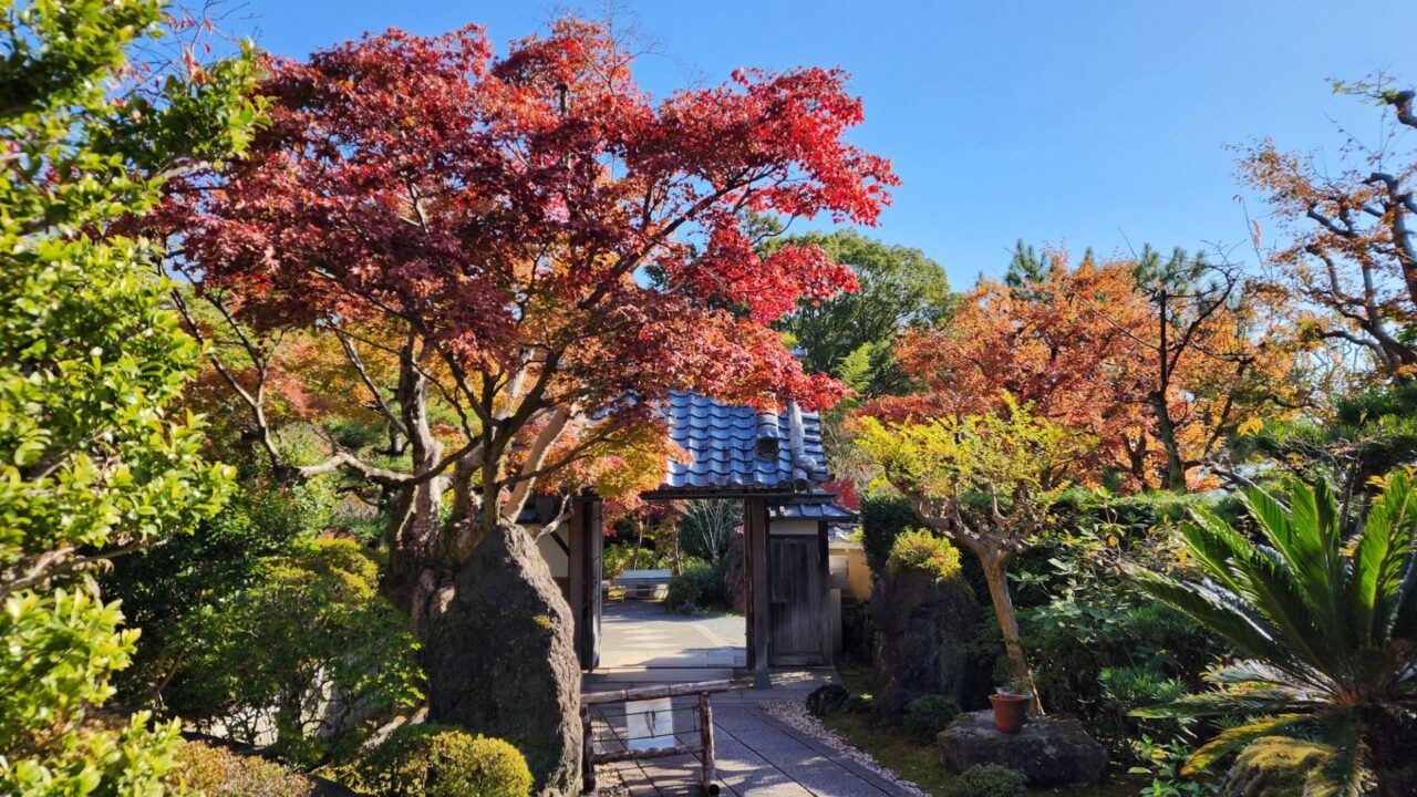 ooharanokoyo