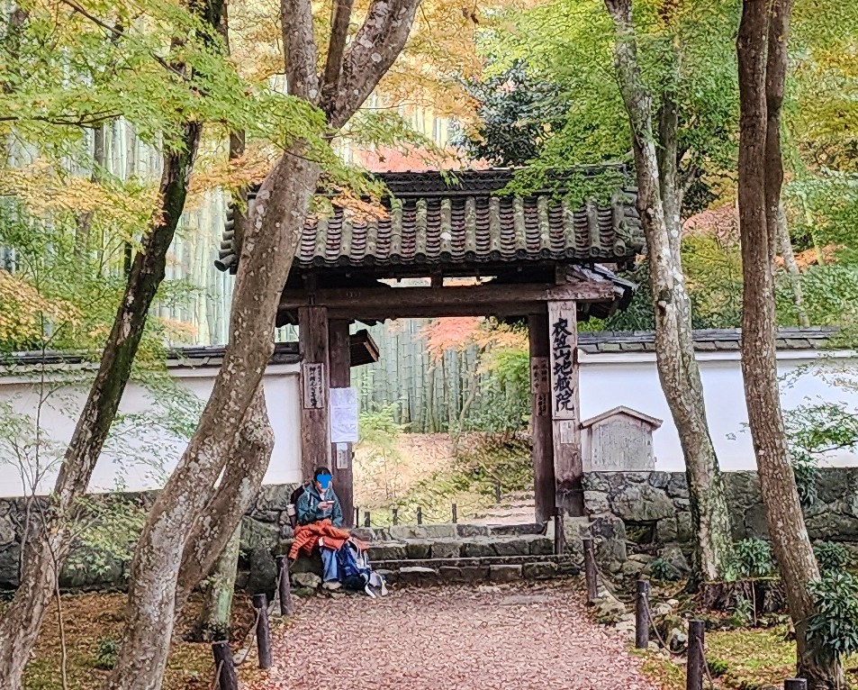 竹の寺地蔵院