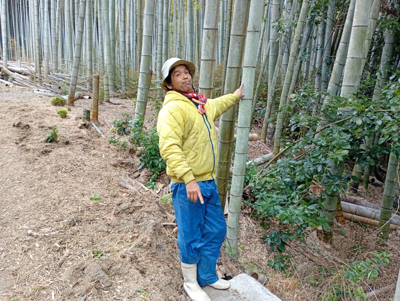 鎮守の杜の学校