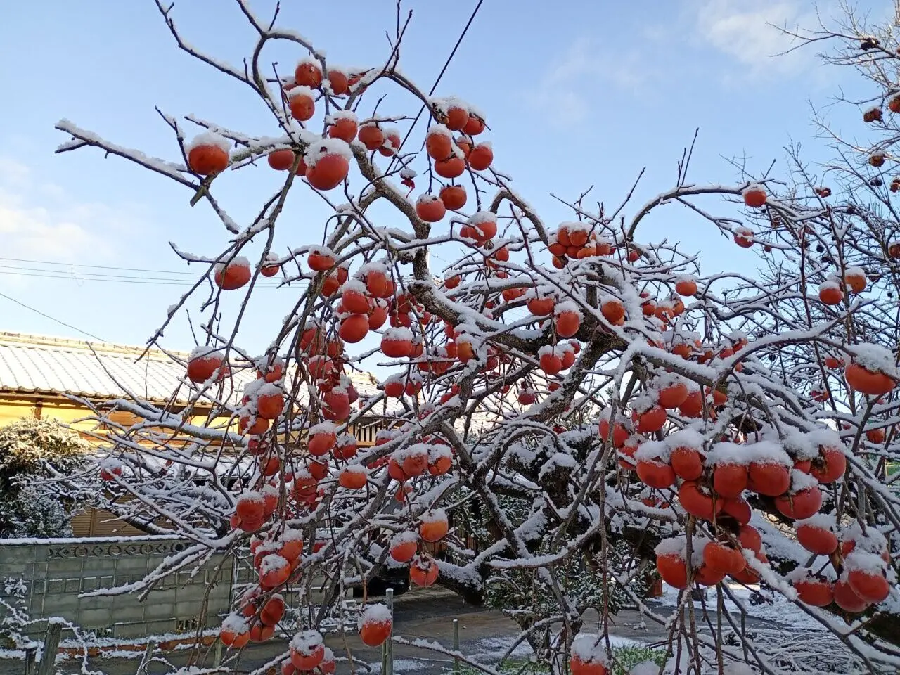 nisiyamasannrokunoyuki