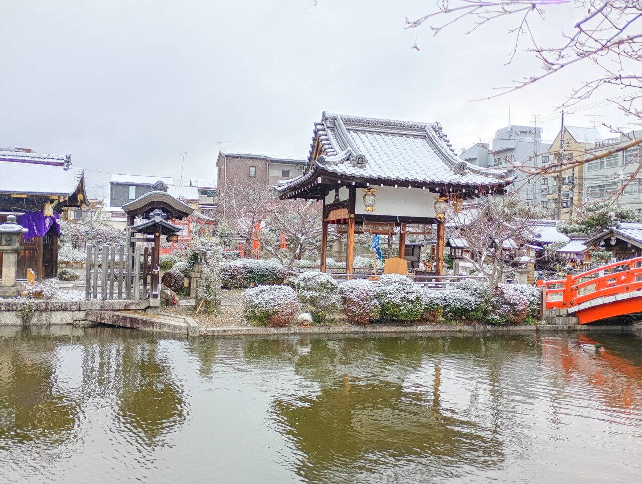 京都雪